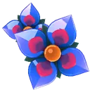 Ipheion Star Blossom